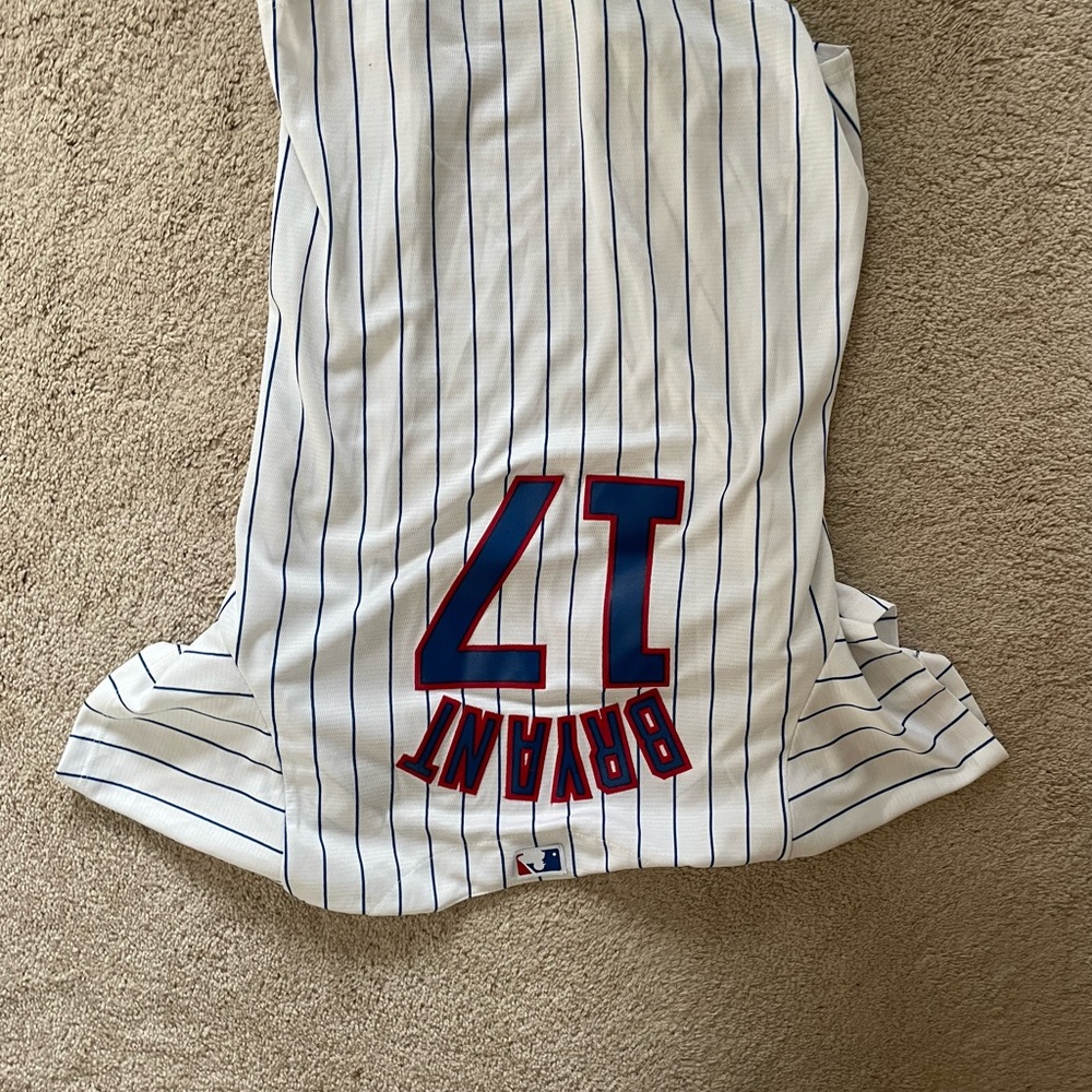 Youths large cubs Jersey